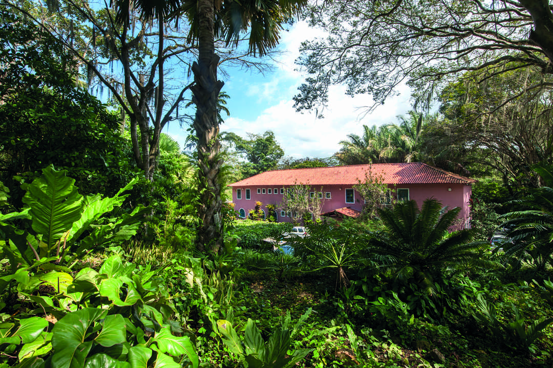 Sítio Roberto Burle Marx, um dos 16 Patrimônios do Brasil reconhecidos pela UNESCO.